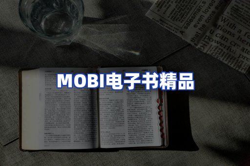 外文电子书产品